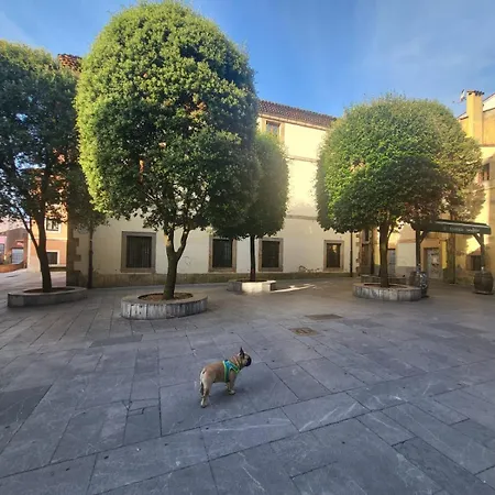 The Blue Nest - Vut7693as 希洪